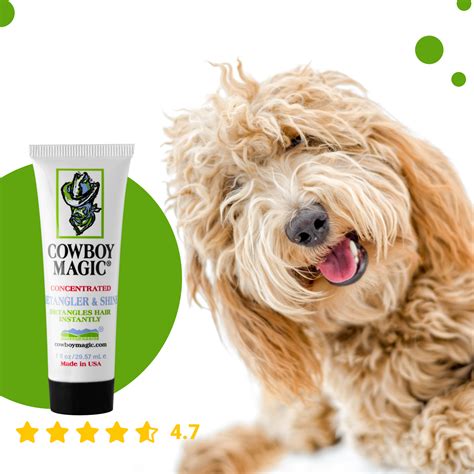 The Importance of Regular Grooming with Comboy Nhagic Detangler for Dogs